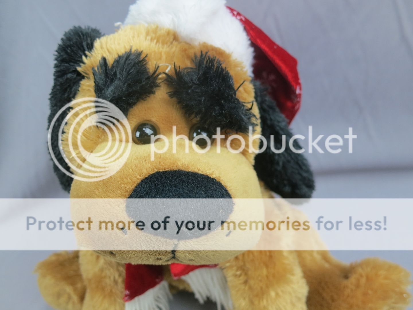 cinnamon brown puppy dog christmas snowflake hat black shaggy